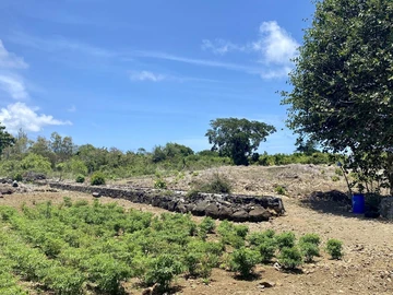 Agricultural Land