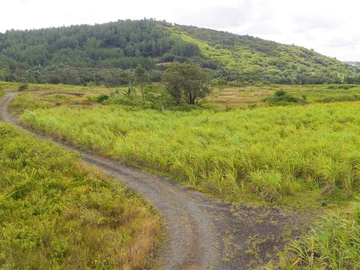 Agricultural Land