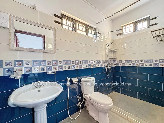 Investment opportunity: Large house in Mont Choisy