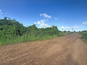 Land