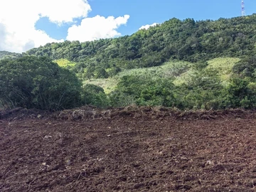 Agricultural Land