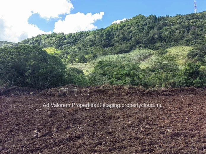 Grand Terrain Agricole à Vendre – Martinière, Surinam – Vue Panoramique & Cadre Naturel