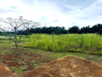 Residential Land