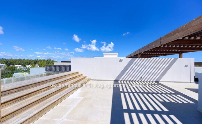 Contemporary Apartment With Rooftop