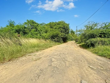Land