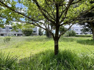 Commercial Land