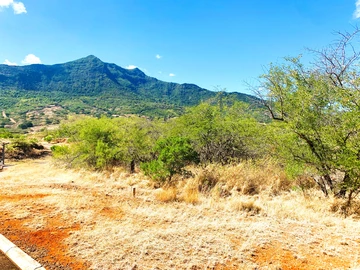 Residential Land