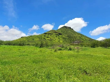 Land
