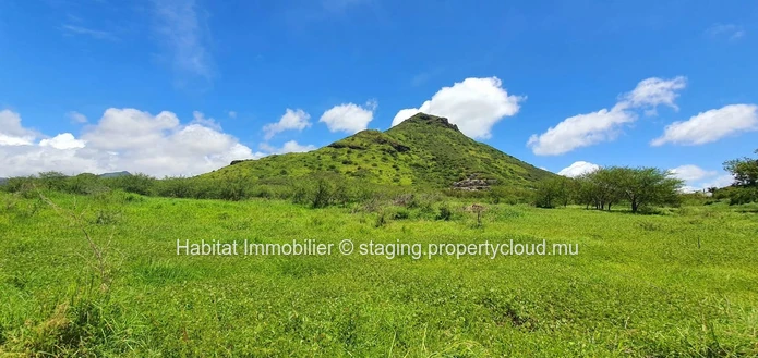 A VENDRE - Terrain unique de 7 arpents relié à la rivière de Tamarin a des dimensions généreuses pour un développemen...