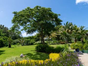 Villa de 4 Chambres