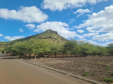 Residential Land