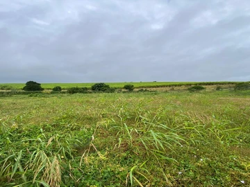 Terrain Résidentiel