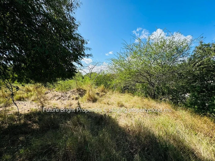 Superbe Terrain à Vendre dans le Domaine TEREMINALIA – Morcellement Belouguet