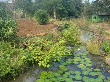 Commercial Land