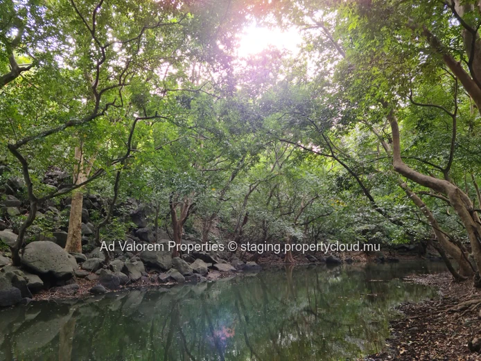 Residential land for sale in Tamarin 