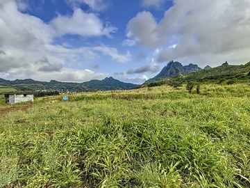 Terrain