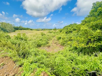 Agricultural Land