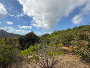 Residential Land