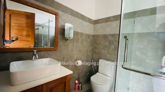 Luxury villa for rent on Calodyne!