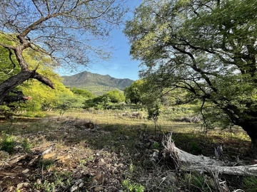 Residential Land