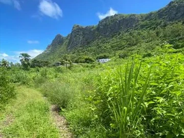 Agricultural Land