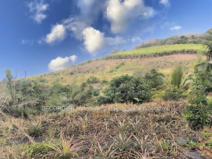Agricultural land near Savanne river. (Sole Mandate)