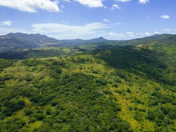 Agricultural Land