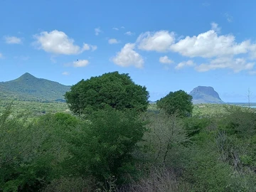 Residential Land