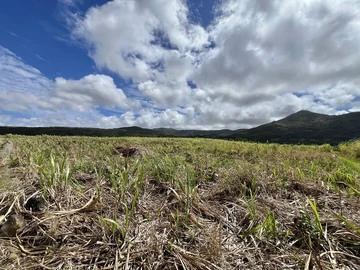 Agricultural Land