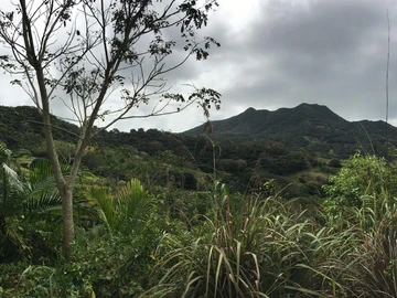 Agricultural Land