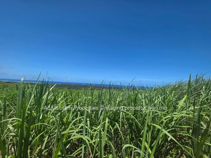 Grand Terrain Agricole à Vendre!