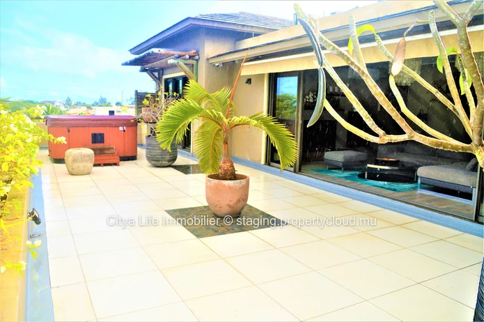 Dream penthouse for sale