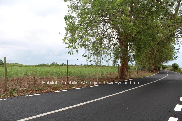  A VENDRE - Terrain agricole de 4 arpents sur la route principale à Petite Julie.