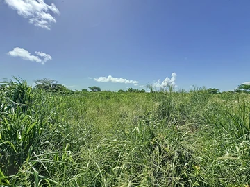 Terrain