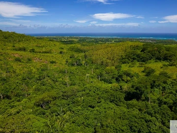 Agricultural Land