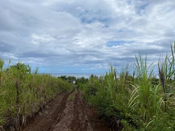 Agricultural Land