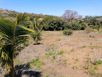 Agricultural Land