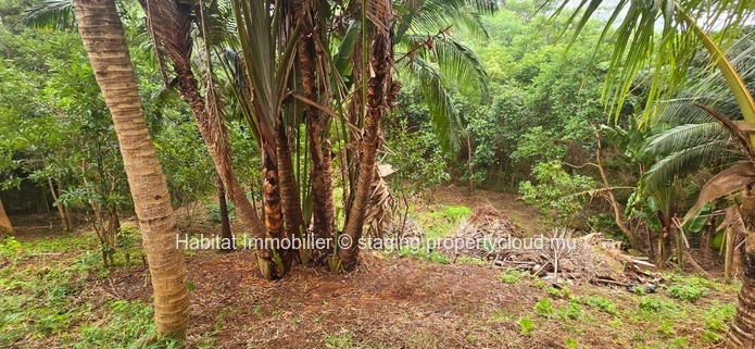 This beautiful residential plot of 225 toises (20 perches) is located in a private and intimate morcellement in Chamarel