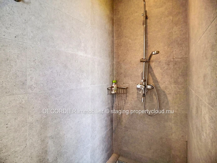 Modern duplex with private swimming pool (Sole Mandate)