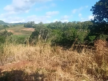 Agricultural Land