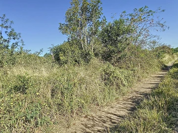Terrain