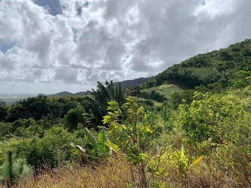 Agricultural Land