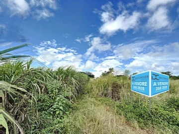 Terrain