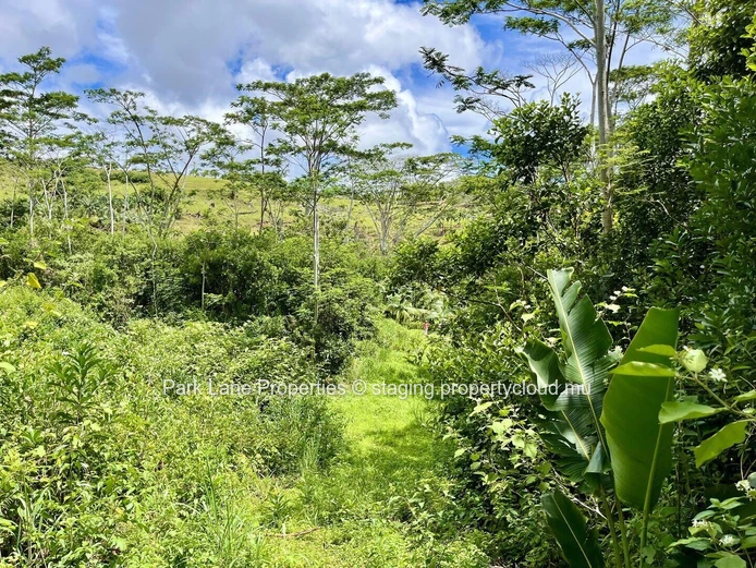 Terrain agricole à Chamarel