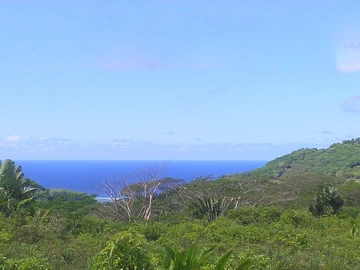 Terrain