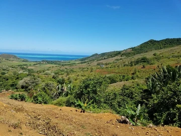 Agricultural Land