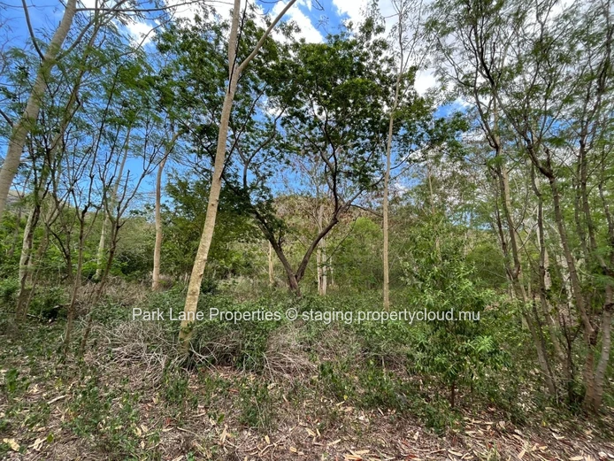 Riverfront Paradise in Black River – A Rare Opportunity