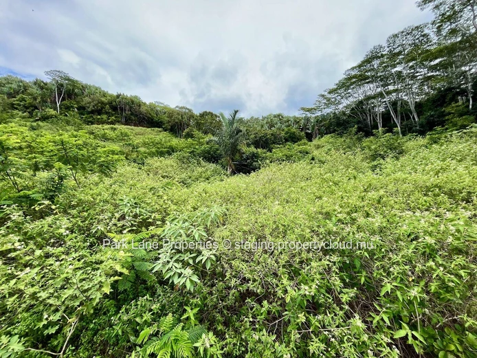 Chamarel - Paix, espace et beauté naturelle tout autour