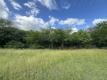Residential Land