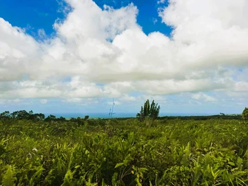 Agricultural Land
